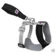 Online Pet Supplier WholePetDirect.com Keeps Dogs Safe and Secure...